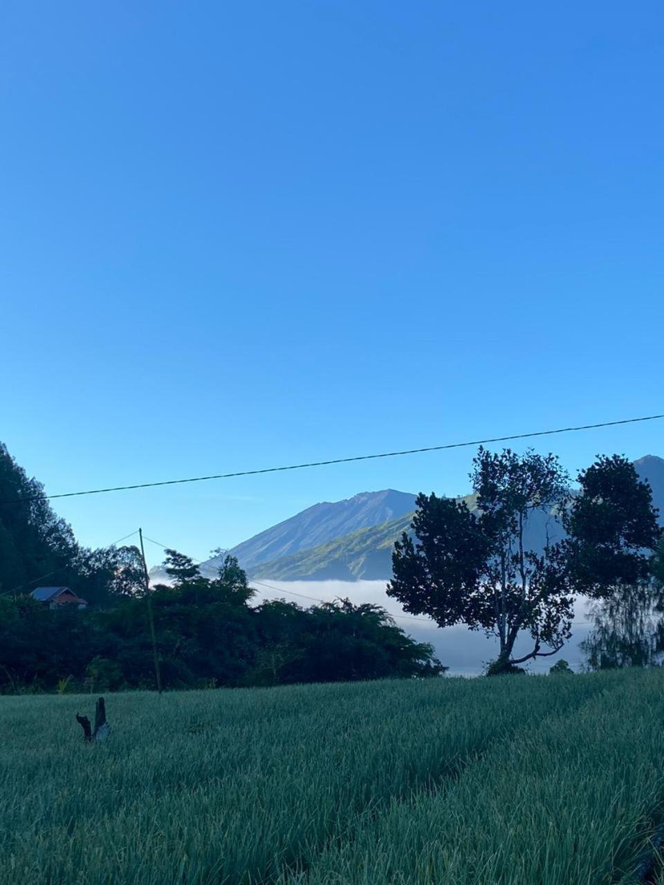 Pondok Bali Volcano Kubupenlokan Exterior photo